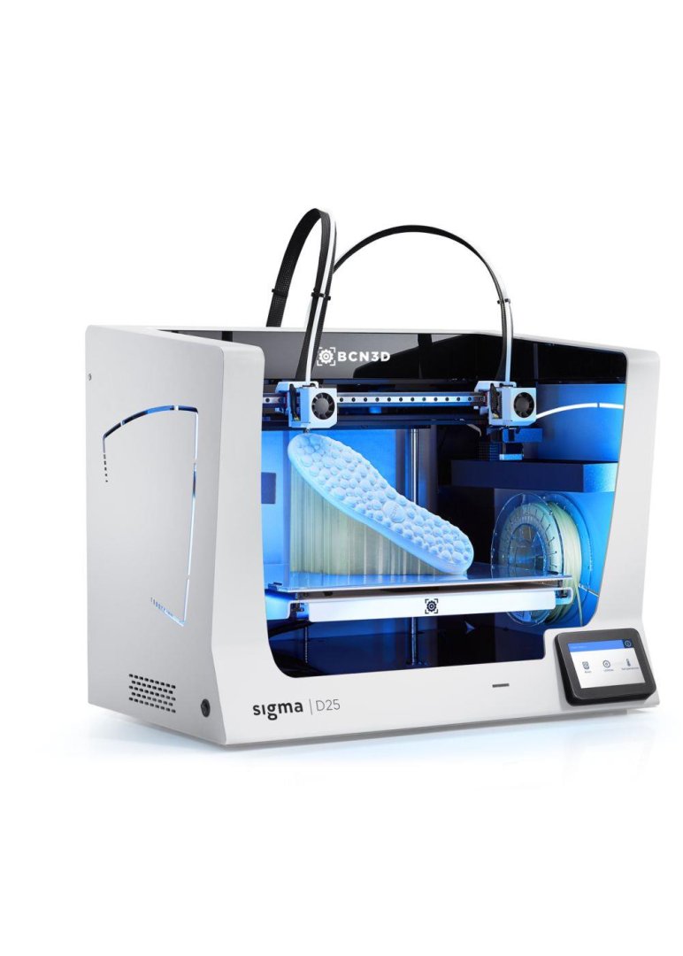 BCN3D Sigma D25 3D Yazıcı