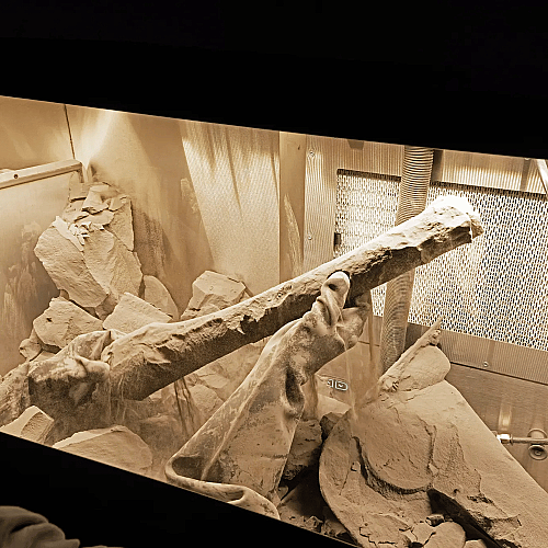 Formlabs Fuse Sift X1 - 5