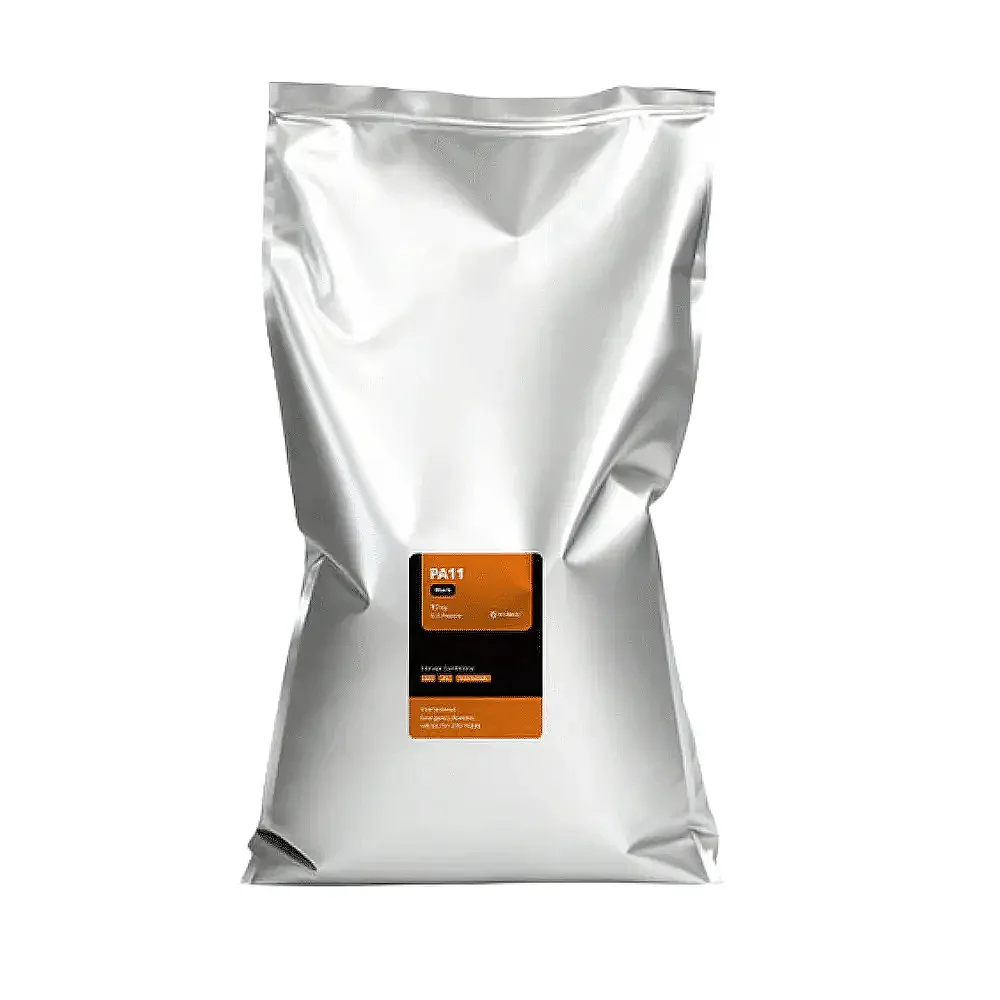 Raise3D PA11 Black Powder 10kg